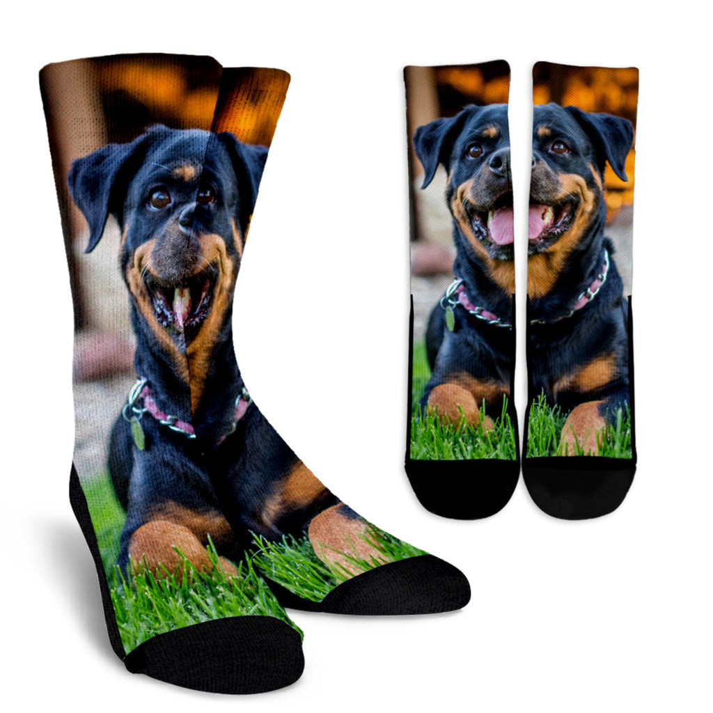 Rottweiler - Calze -