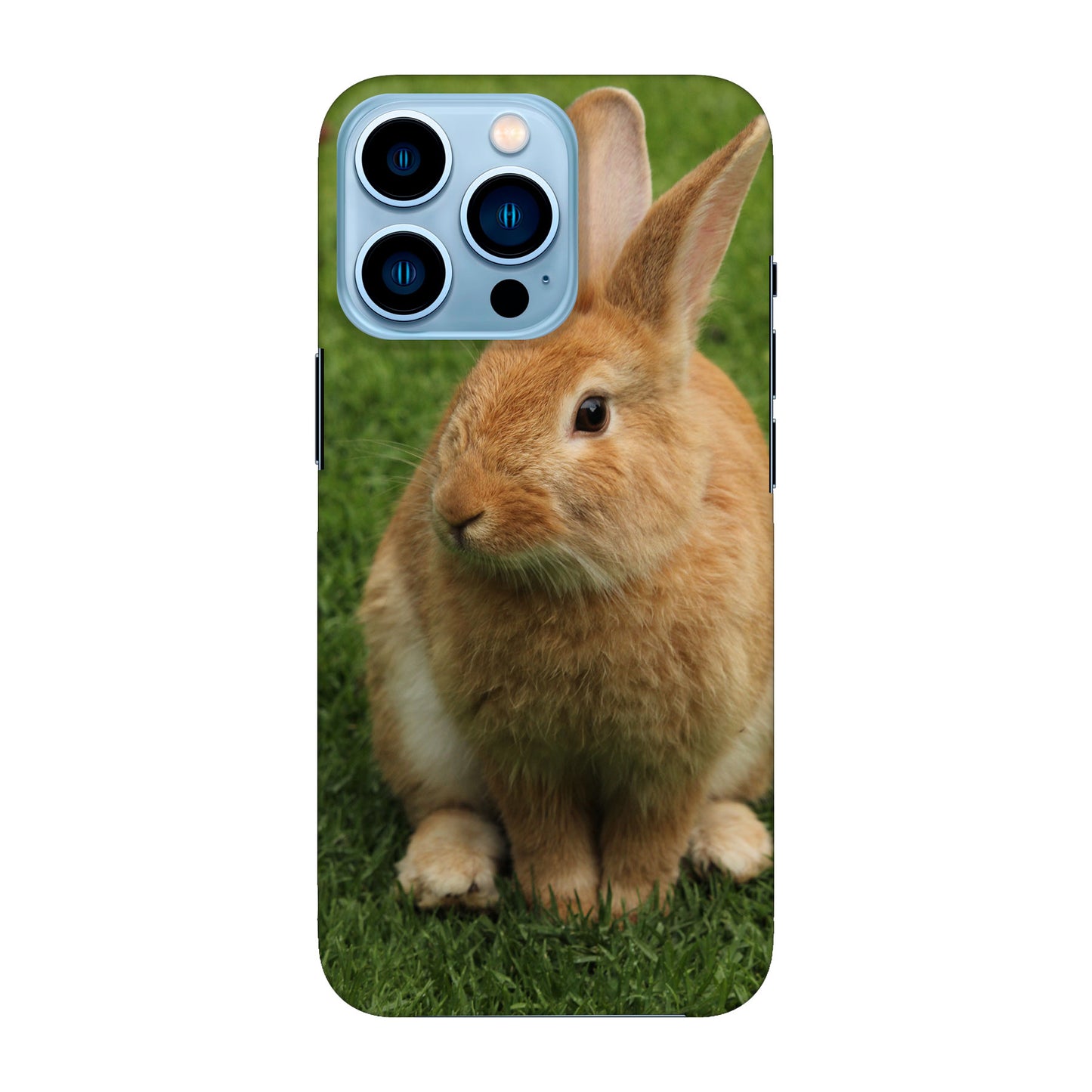 Apple iPhone 13 Pro Cover Rigida Lucida - Stampa su tutta la Superficie, Retro e Lati