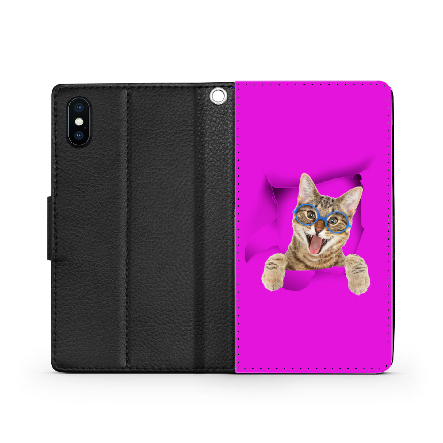 gatto e buco 1