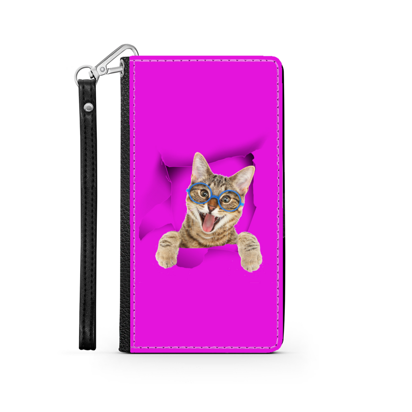 gatto e buco 1