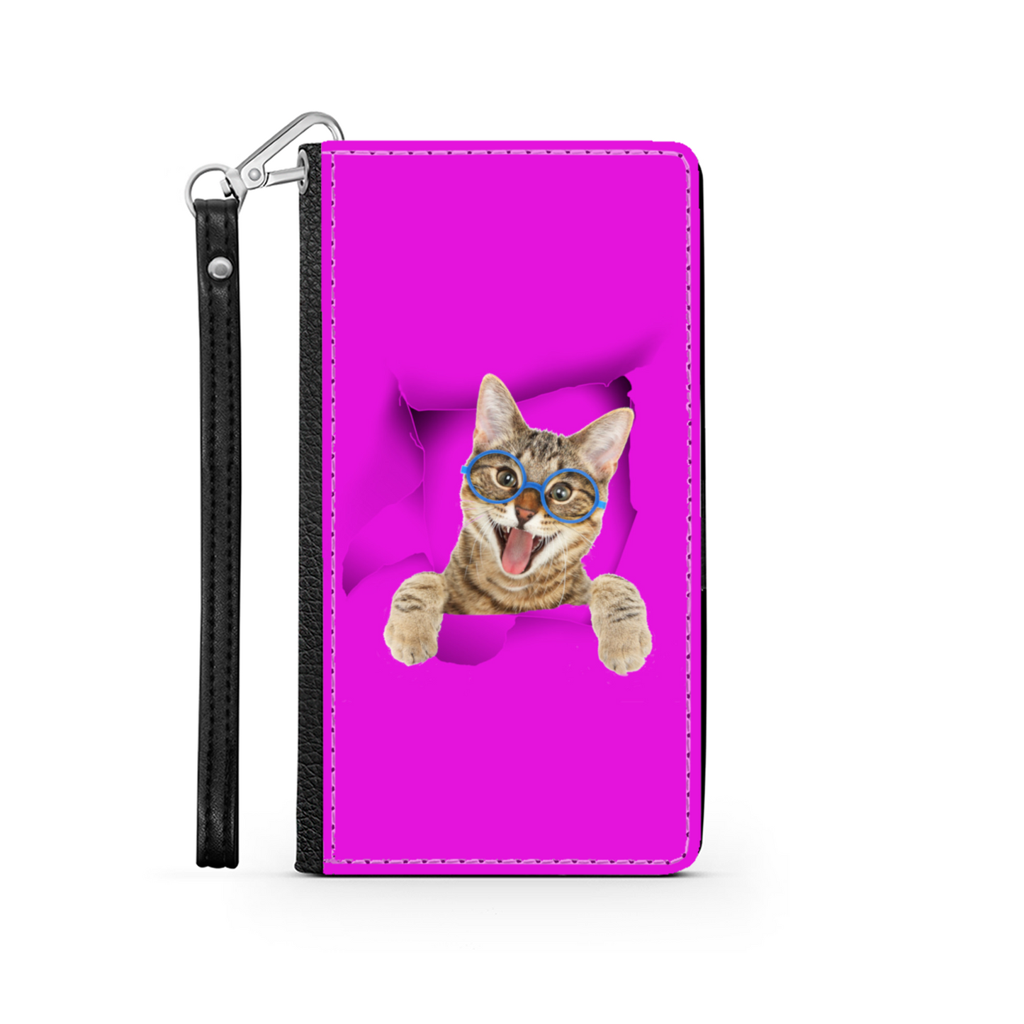 gatto e buco 1