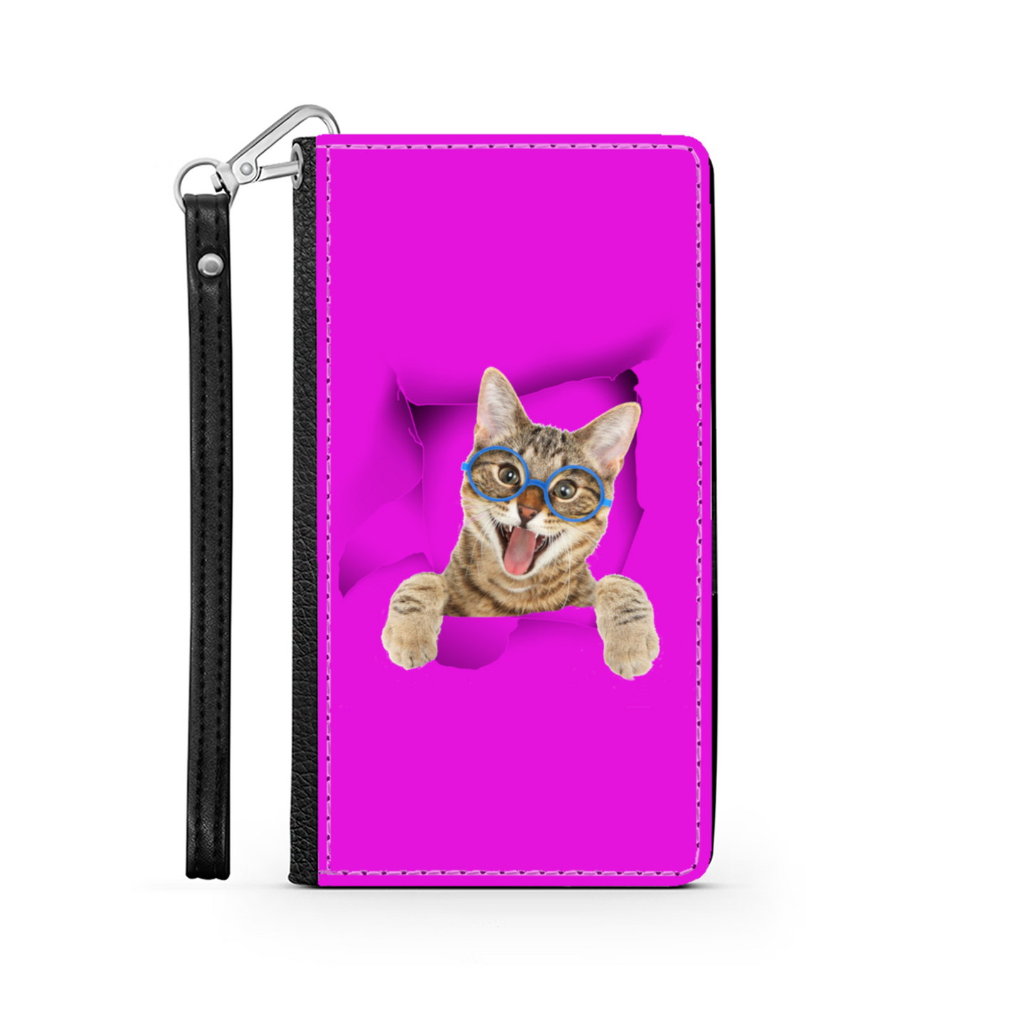 gatto e buco 1