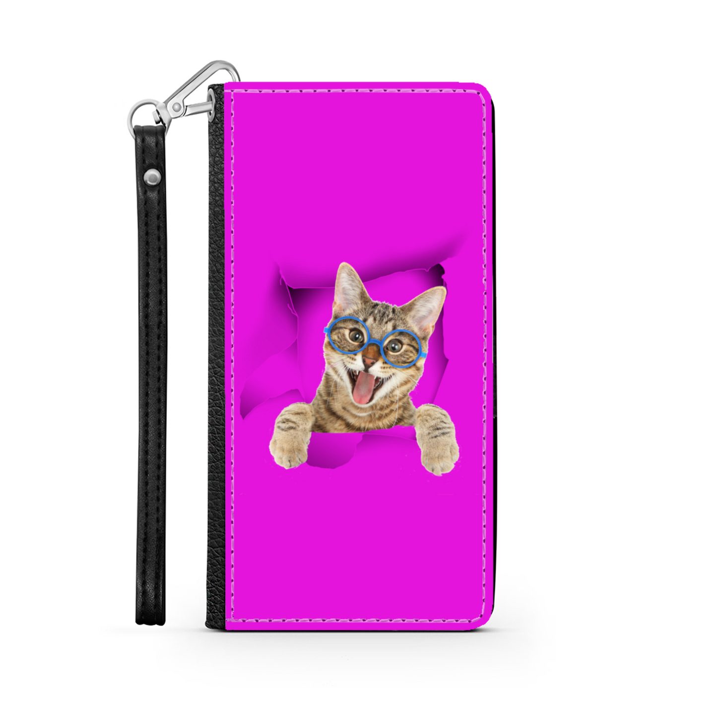 gatto e buco 1