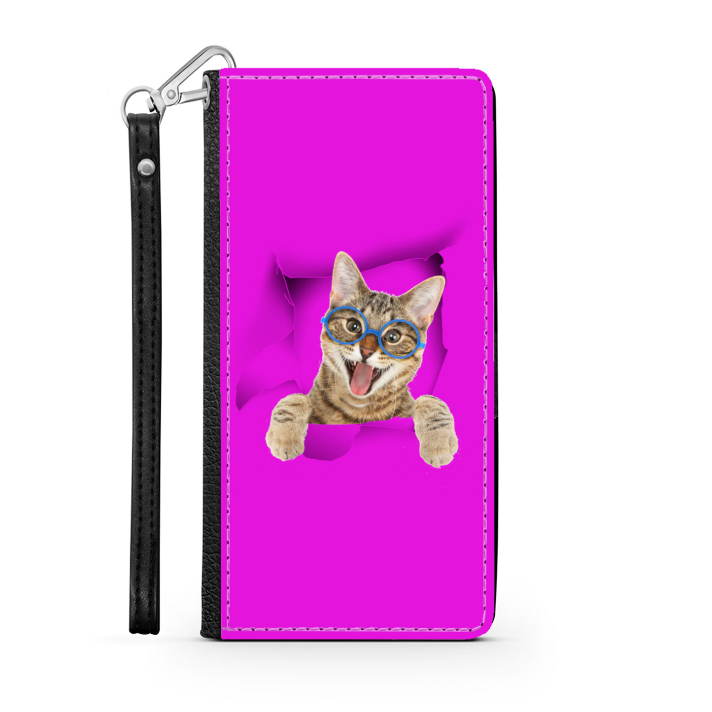 gatto e buco 1