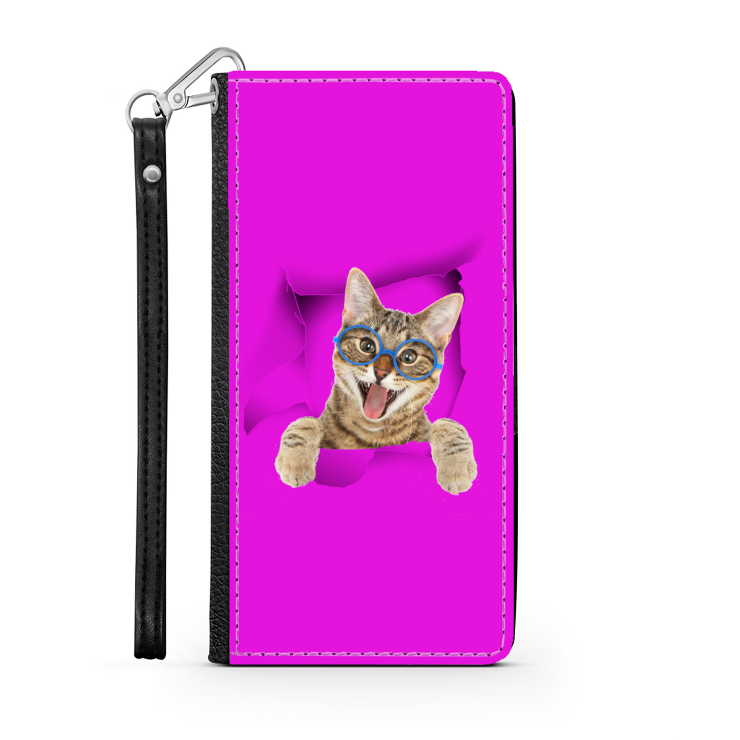 gatto e buco 1