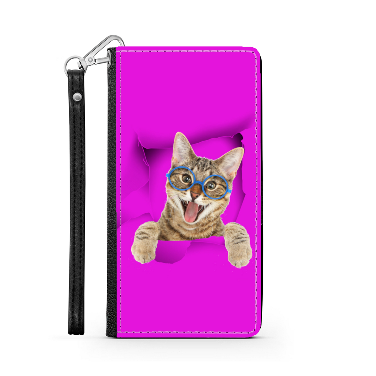 gatto e buco 1