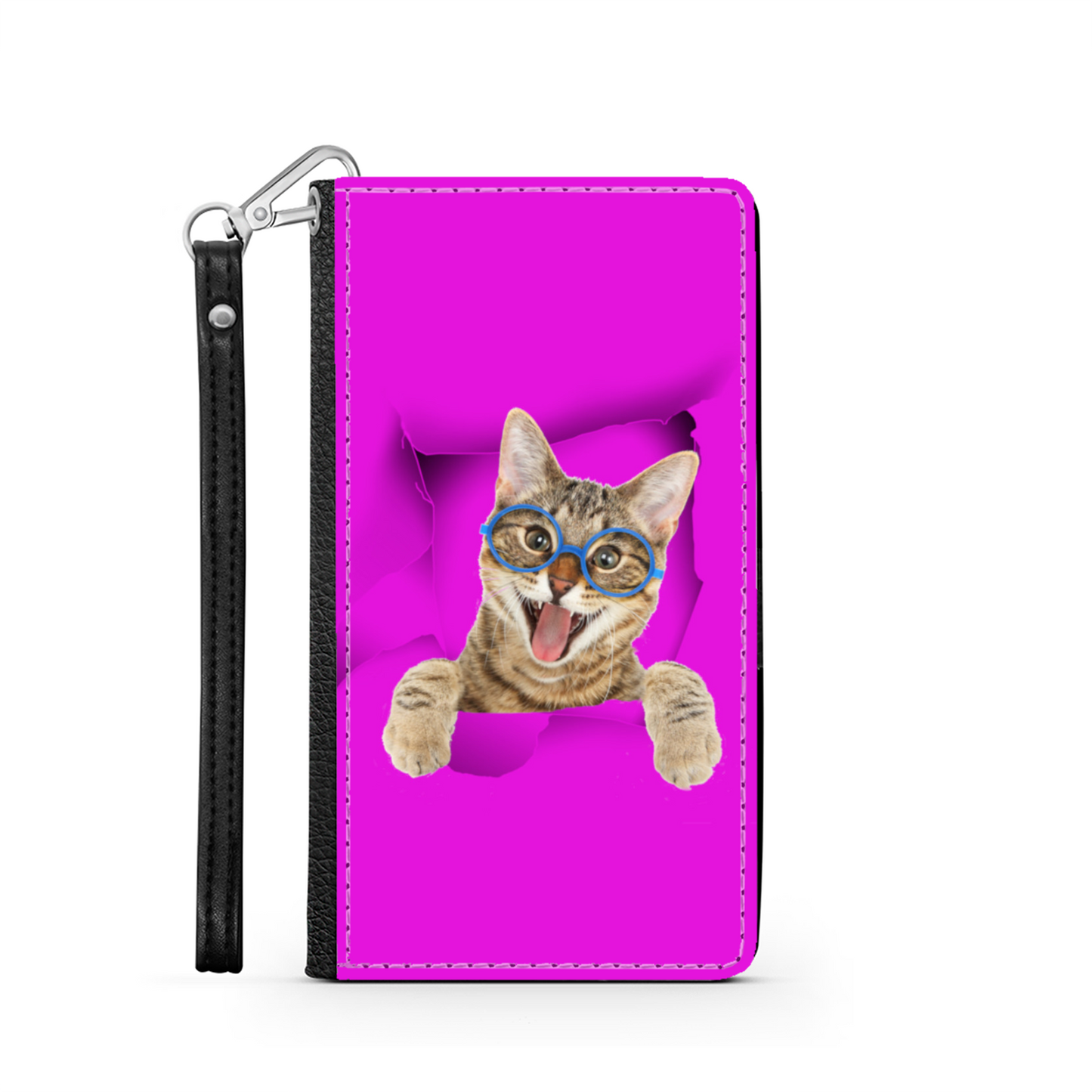 gatto e buco 1