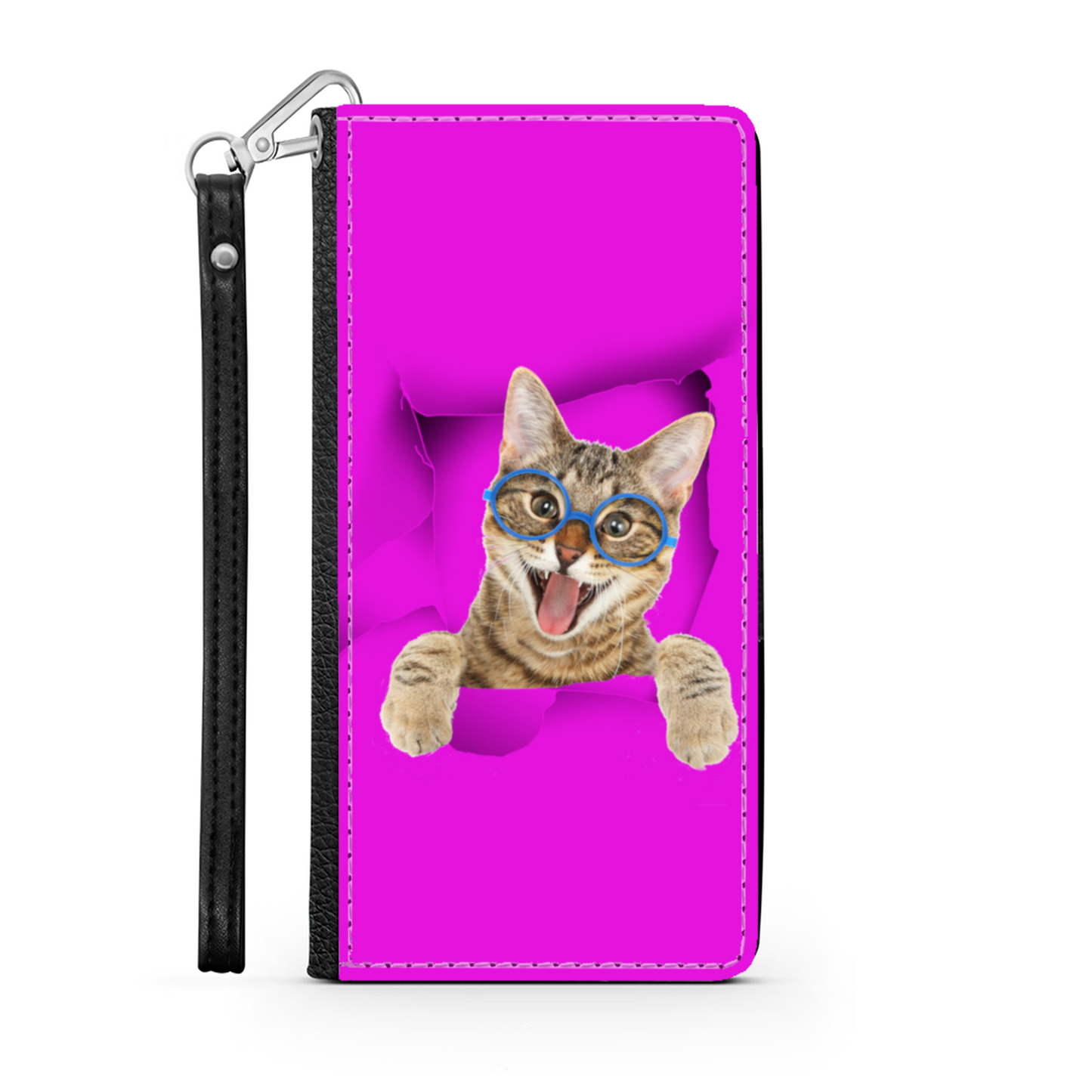 gatto e buco 1
