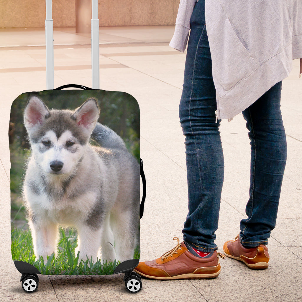 Cucciolo di Malamute - Copri Bagaglio -