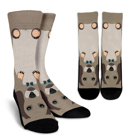 Bracco di Weimar - Calze -