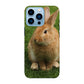 Apple iPhone 13 Pro Cover Rigida Lucida - Stampa su tutta la Superficie, Retro e Lati