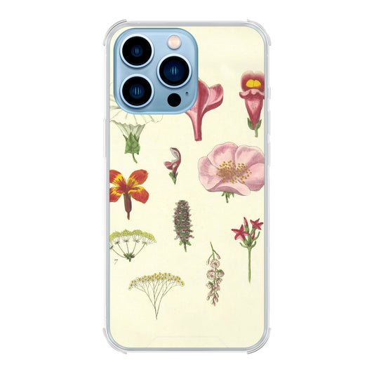 Apple iPhone 13 Pro Max Bumper case (back printed, transparent)