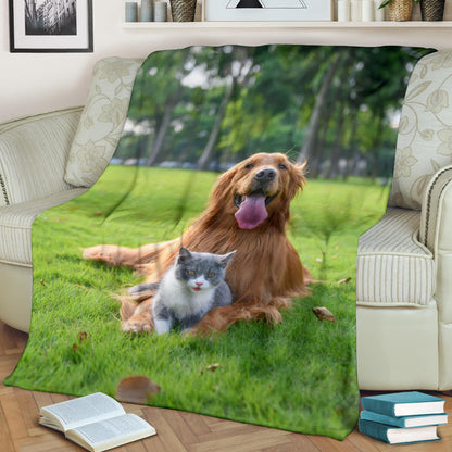 Cane e Gatto - foto per personalizzazione