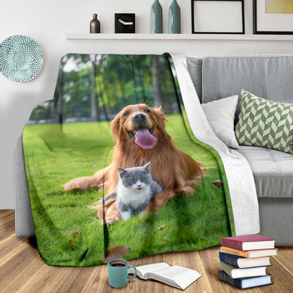 Cane e Gatto - foto per personalizzazione